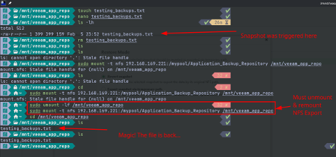 The Veeam Application Backup Repository - 13.1 10 image 9
